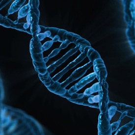 DNA